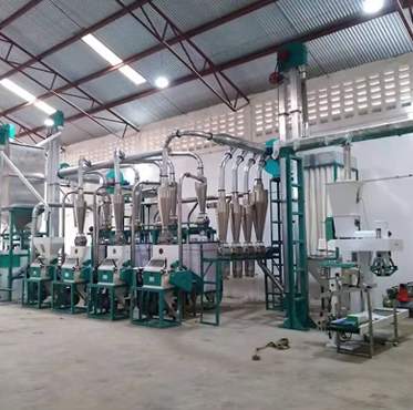 Maize Milling